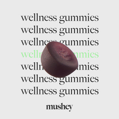 FocusMush Gummies | Enciende tu mente, potencia tu día 🧠